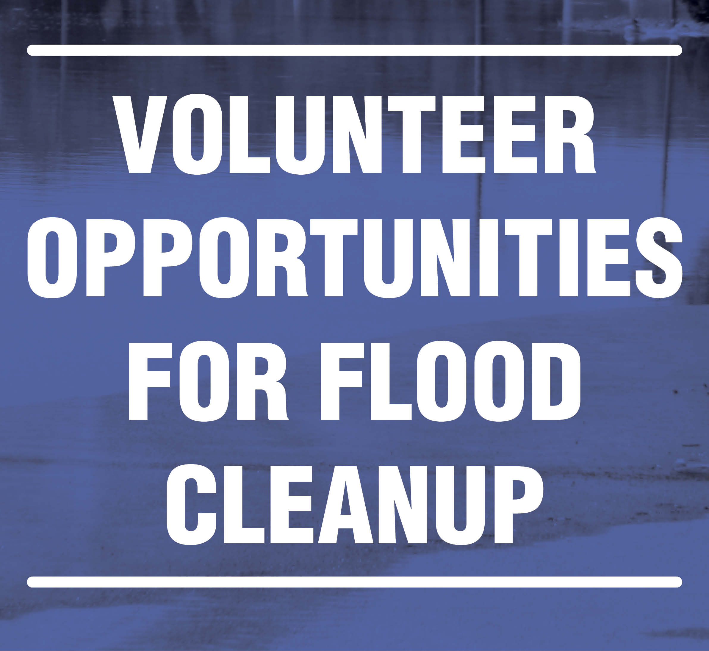 Flood Cleanup Volunteers