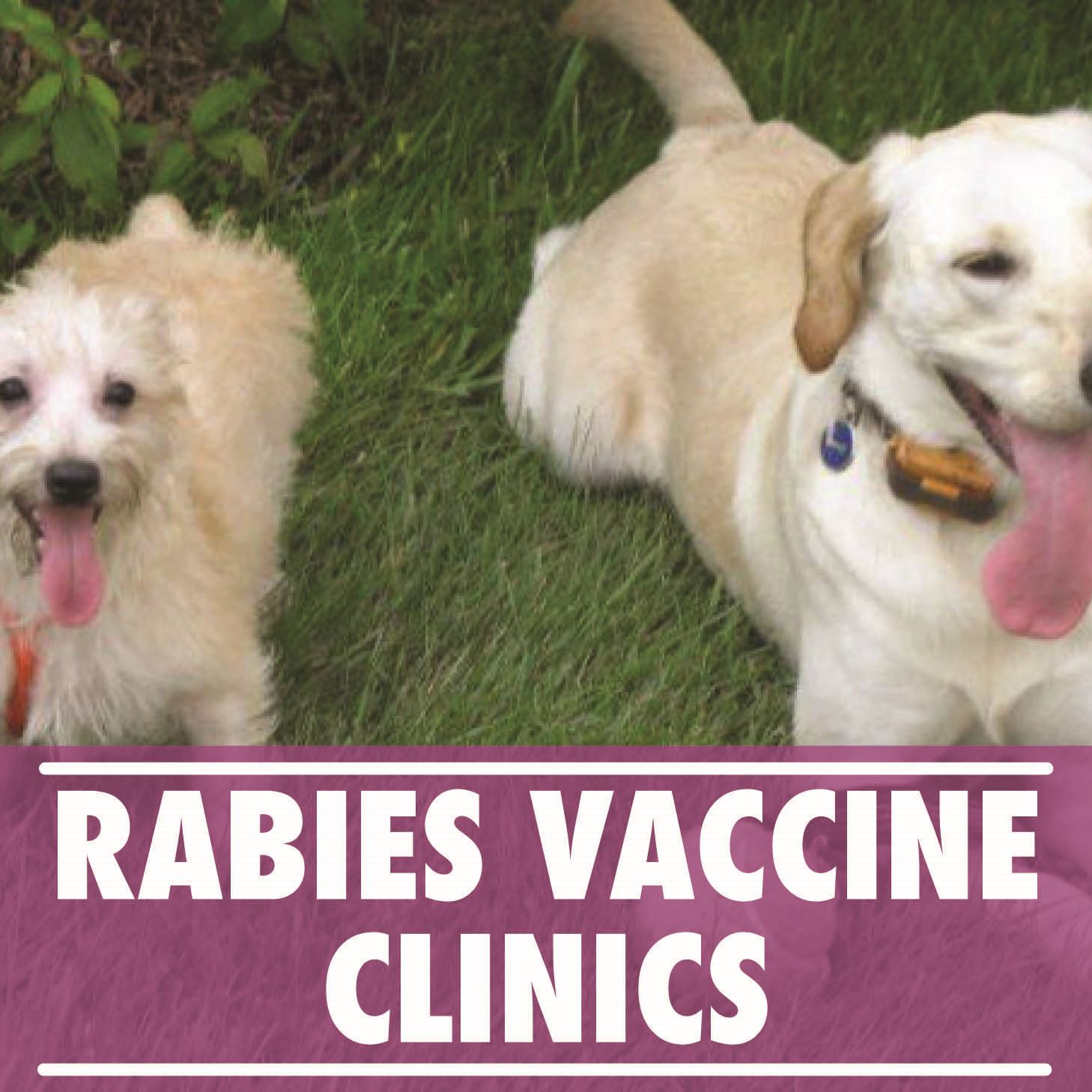 Rabies Clinic_Interior