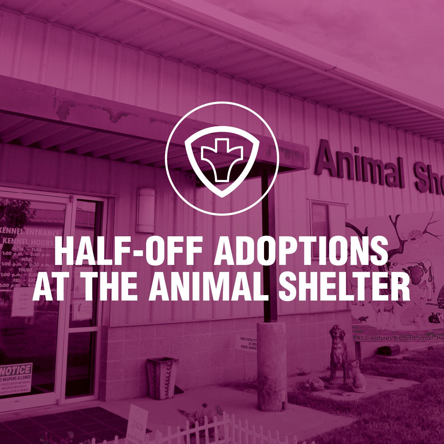 Half-Off Adoptions